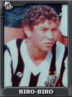 Biro-Biro