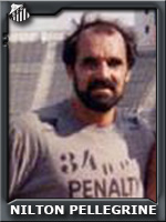 Nilton Pellegrine
