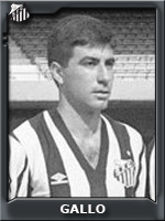 Gallo