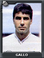 Gallo